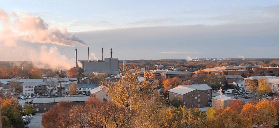 A picture clicked by me