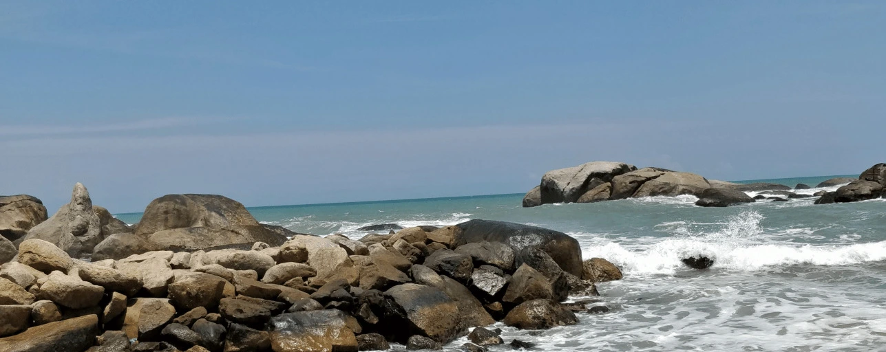 A photo clicked by me