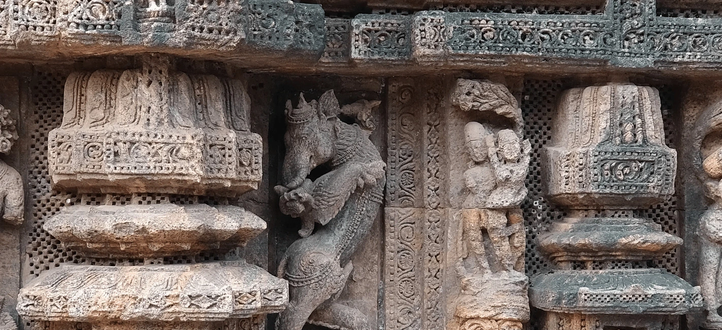 A picture clicked by me